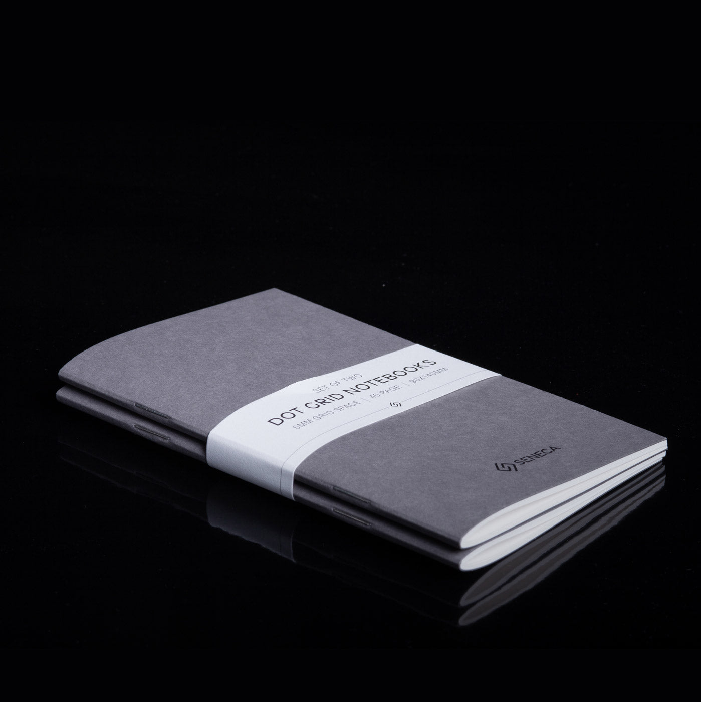 Dot Grid Notebooks 2-Pack