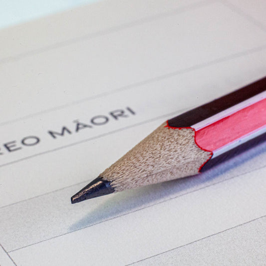 Ngā Pukapuka Whakaharatau 2-Pack